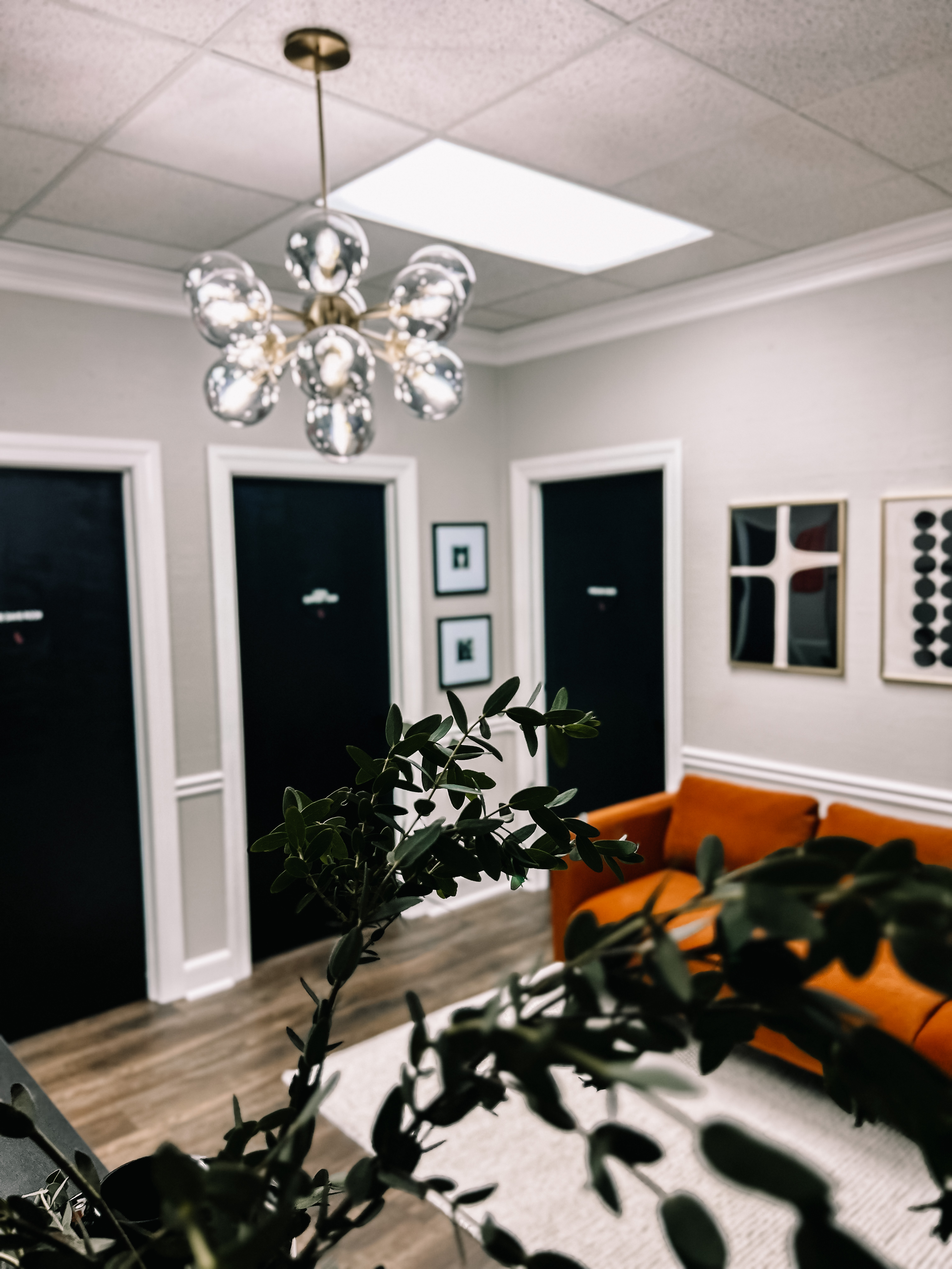 Plant and chandelier in reception